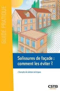Salissures de façade : comment les éviter ? - Exemples de solutions techniques