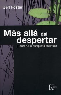 Más allá del despertar - El final de la búsqueda espiritual