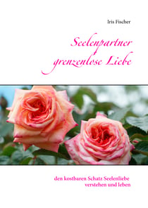Seelenpartner grenzenlose Liebe - den kostbaren Schatz Seelenliebe verstehen und leben