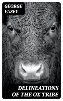 Delineations of the Ox Tribe - The Natural History of Bulls, Bisons, and Buffaloes. Exhibiting all the Known Species and the More Remarkable Varieties of the Genus Bos