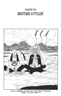 One Piece édition originale - Chapitre 316 - Brother attitude