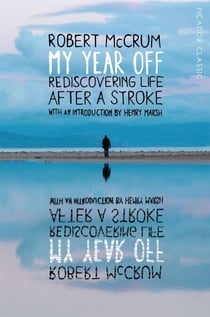 My Year Off - Rediscovering Life After a Stroke