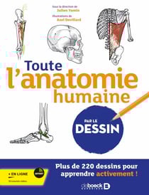 Toute l’anatomie humaine par le dessin - Plus de 220 dessins pour apprendre activement !