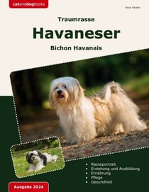 Traumrasse Havaneser - Bichon Havanais