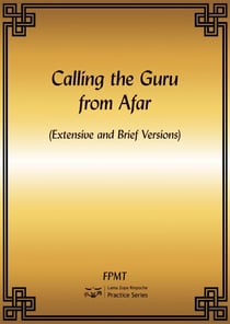 Calling the Guru from Afar eBook