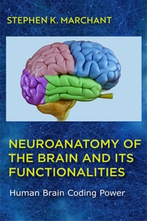 Neuroanatomy of the Brain and its functionalities - 1, #172