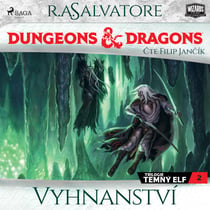 Dungeons & Dragons. Legenda o Drizztovi. Temný elf 2: Vyhnanství