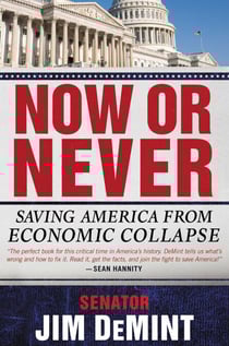 Now or Never - Saving America from Economic Collapse
