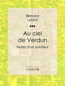 Au ciel de Verdun - Notes d'un aviateur