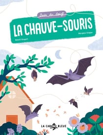 Suis du doigt la chauve-souris - Un documentaire ludique pour une première approche de l'écologie
