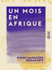 Un mois en Afrique