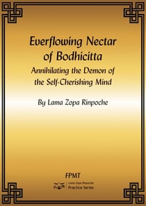 Everflowing Nectar of Bodhicitta eBook