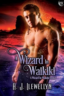 A Wizard in Waikiki - A Wizard in Waikiki, #1