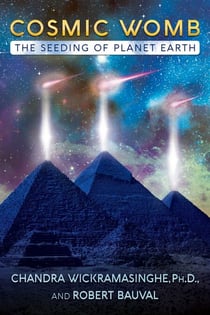 Cosmic Womb - The Seeding of Planet Earth