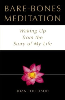 Bare-Bones Meditation - Waking Up from the Story of My Life