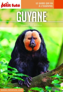GUYANE 2019 Carnet Petit Futé