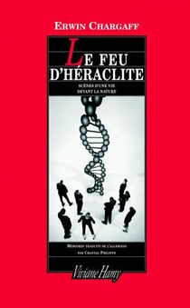 Feu d'héraclite