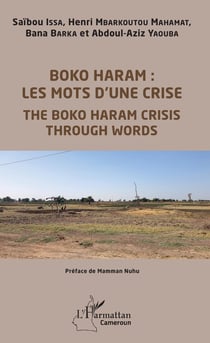 Boko Haram : les mots d'une crise - The Boko Haram crisis through Words