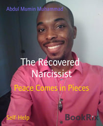The Recovered  Narcissist - Peace Comes in Pieces
