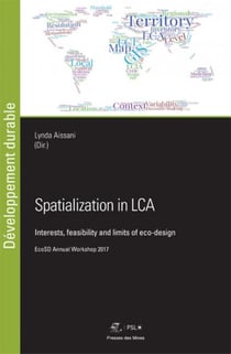 Spatialization in LCA - Interests, feasability and limits of eco-design - EcoSD Annual Workshop 2017