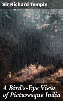 A Bird's-Eye View of Picturesque India