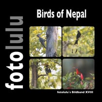 Birds of Nepal - fotolulu`s Bildband XVIII