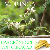 Das grüne Gold von Curacao - Moringa