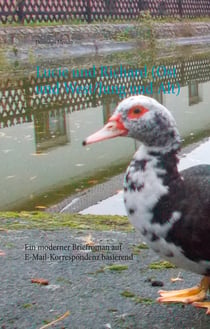 Lucie und Richard (Ost und West/Jung und Alt) - Ein moderner Briefroman auf E-Mail-Korrespondenz basierend
