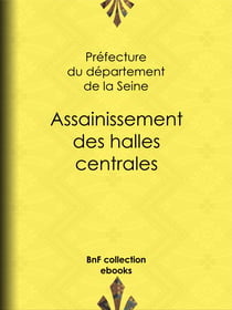 Assainissement des halles centrales - Résumé des travaux de la commission chargée d'examiner les questions qui se rattachent à cet assainissement