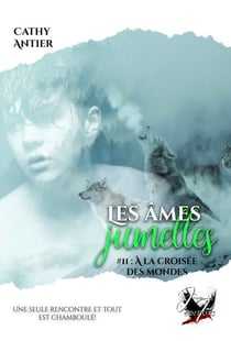 Les âmes jumelles - Tome 2 - A la croisée des mondes