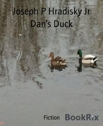 Dan's Duck