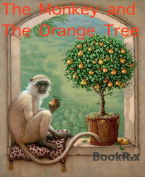The Monkey and The Orange Tree - Le Sange