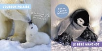 Mon premier doc photo : les bébés animaux