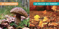 Mon premier doc photo : les saisons
