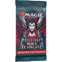 Magic the Gathering Set Booster