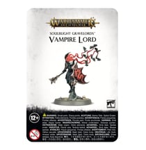 Soulblight Gravelords Vampire Lord - Warhammer Age of Sigmar