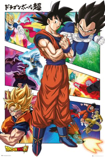 Poster dragon ball super panels