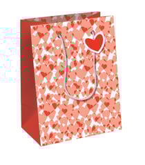 Sac Cadeau Excellia Clairefontaine - Moyen - 21,5x10,2x25,3cm - 210g - Ensemble de coeurs