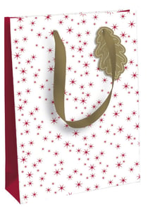Sac cadeau Noël -  Pomme d'amour - Taille L 26,5 x 14 x 33 cm