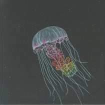 Passive Margins - édition 180g