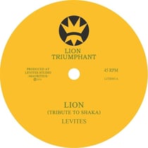 Lion (Tribute to Shaka)