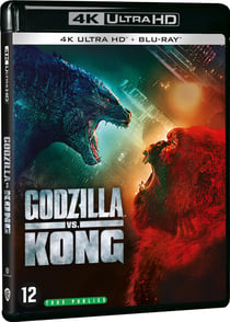 Godzilla vs Kong