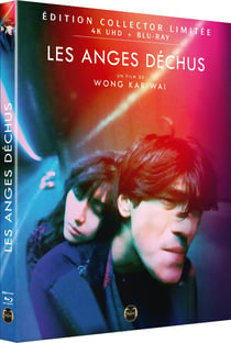 Les Anges déchus