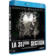 La 317e section