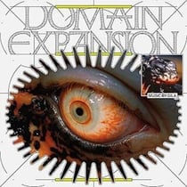 Domain Expansion