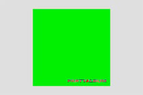 Party Album - édition colorée