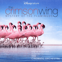 The crimson wing