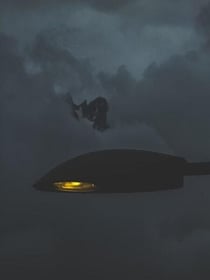 Hostile Aliens