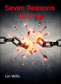Seven Reasons to Pray