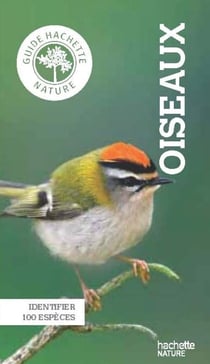 Le petit guide Hachette des oiseaux